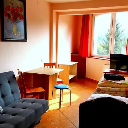 Willa Mona 住宿加早餐酒店 *